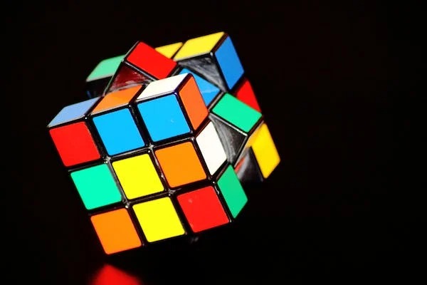 types-of-intelligence