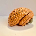 IQ-score