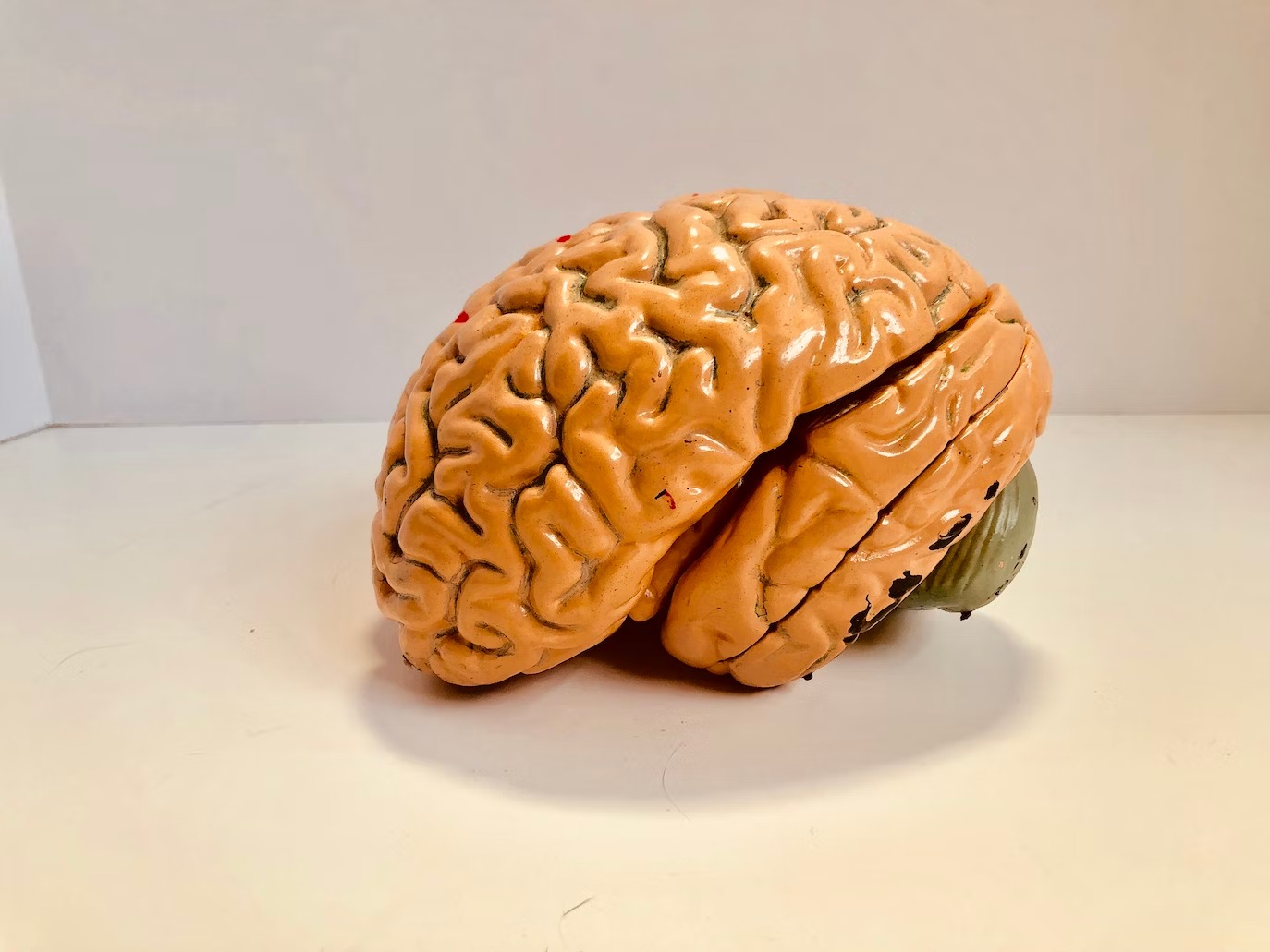 IQ-score