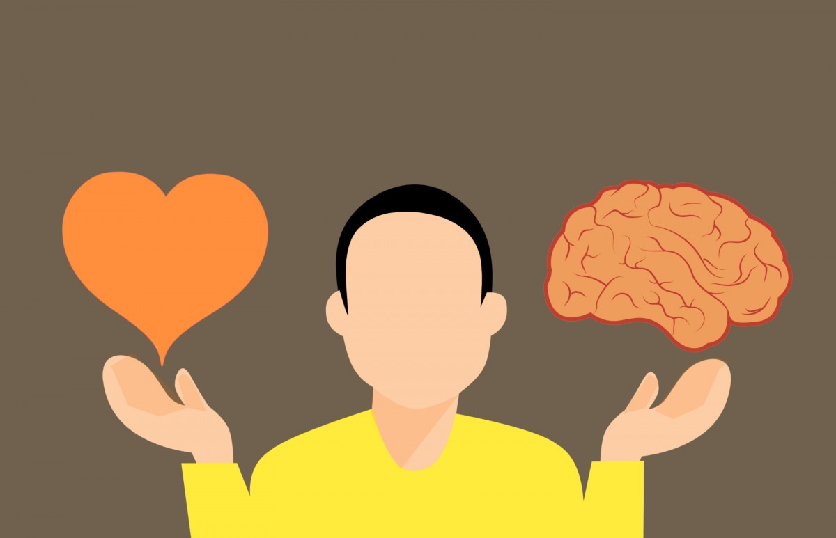 brain-and-body
