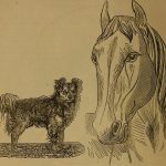 Ambition and happiness