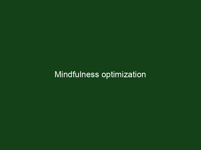Mindfulness optimization