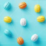 Brain Development and Early Childhood Learning
