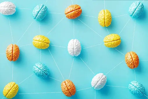 Brain Development and Early Childhood Learning