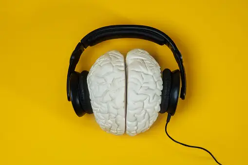 What is Musical Intelligence?