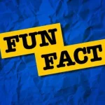 How To Come Up With A Fun Fact About Yourself