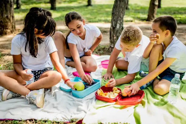 summer camp lunch ideas