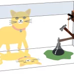 What is Schrödinger’s cat